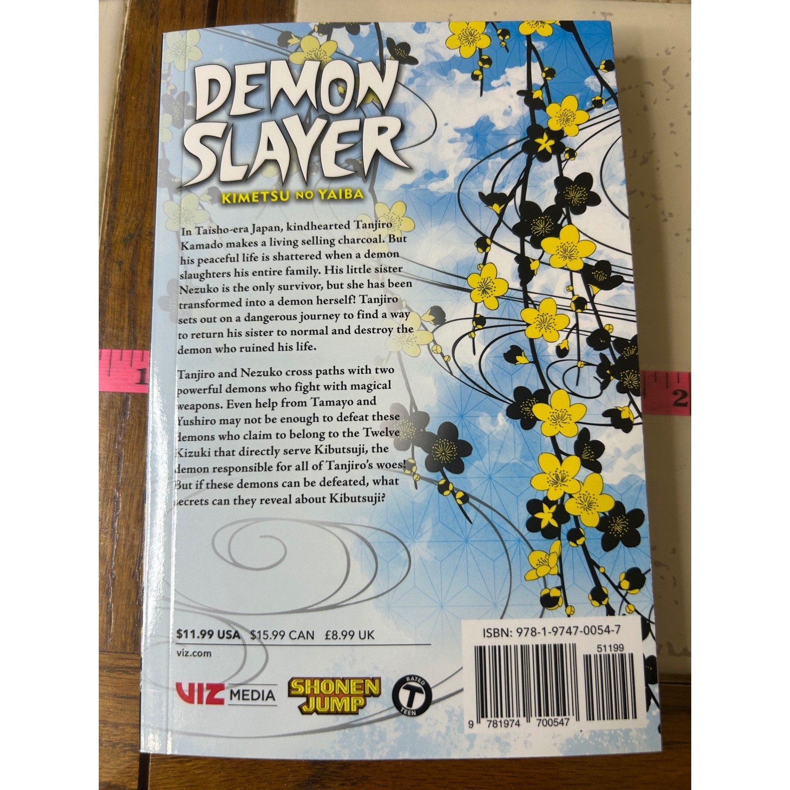 Demon Slayer Kimetsu no Yaiba Manga Volumes 1 2 3 VIZ Media Shonen Jump