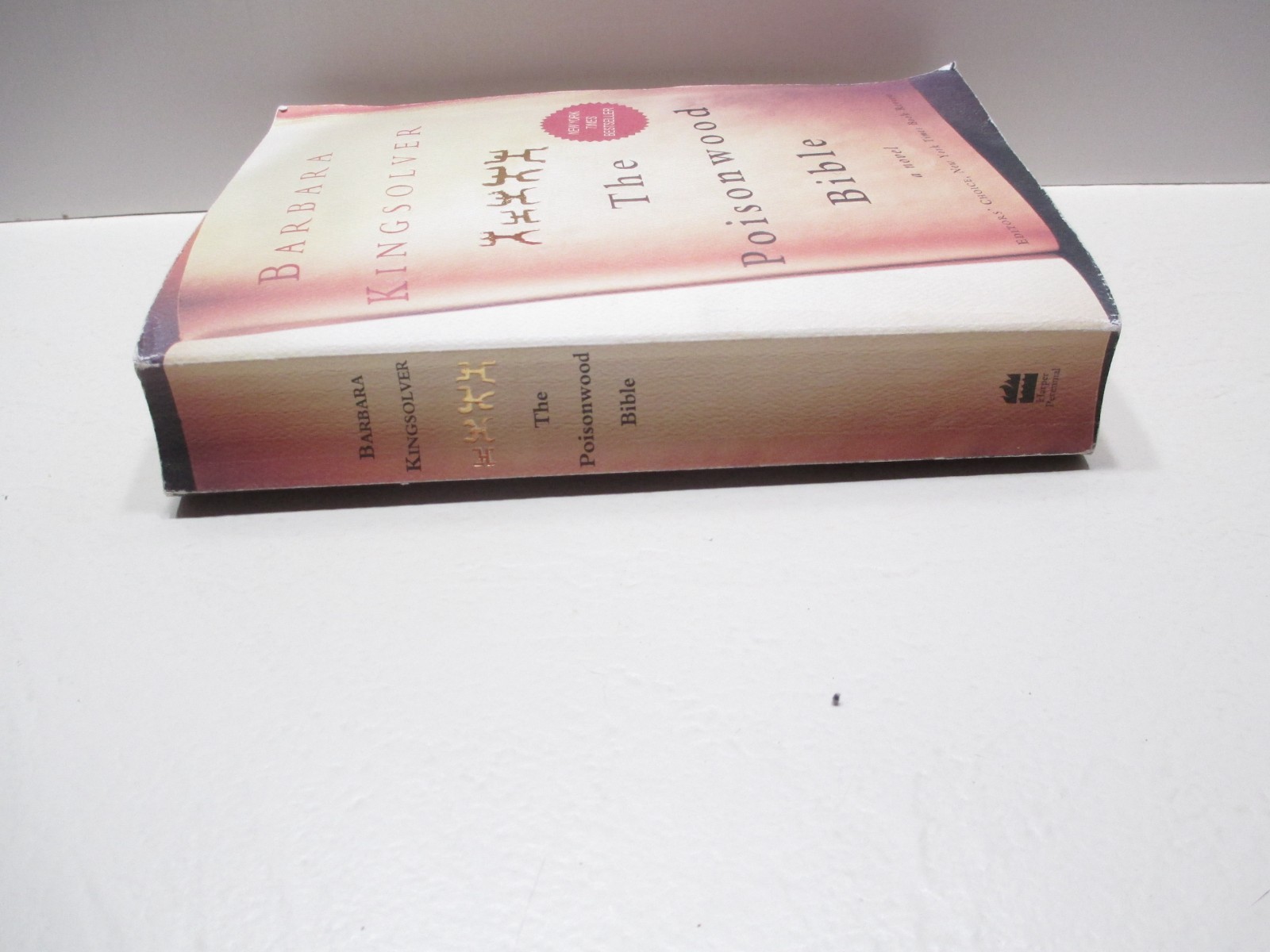 The Poisonwood Bible –