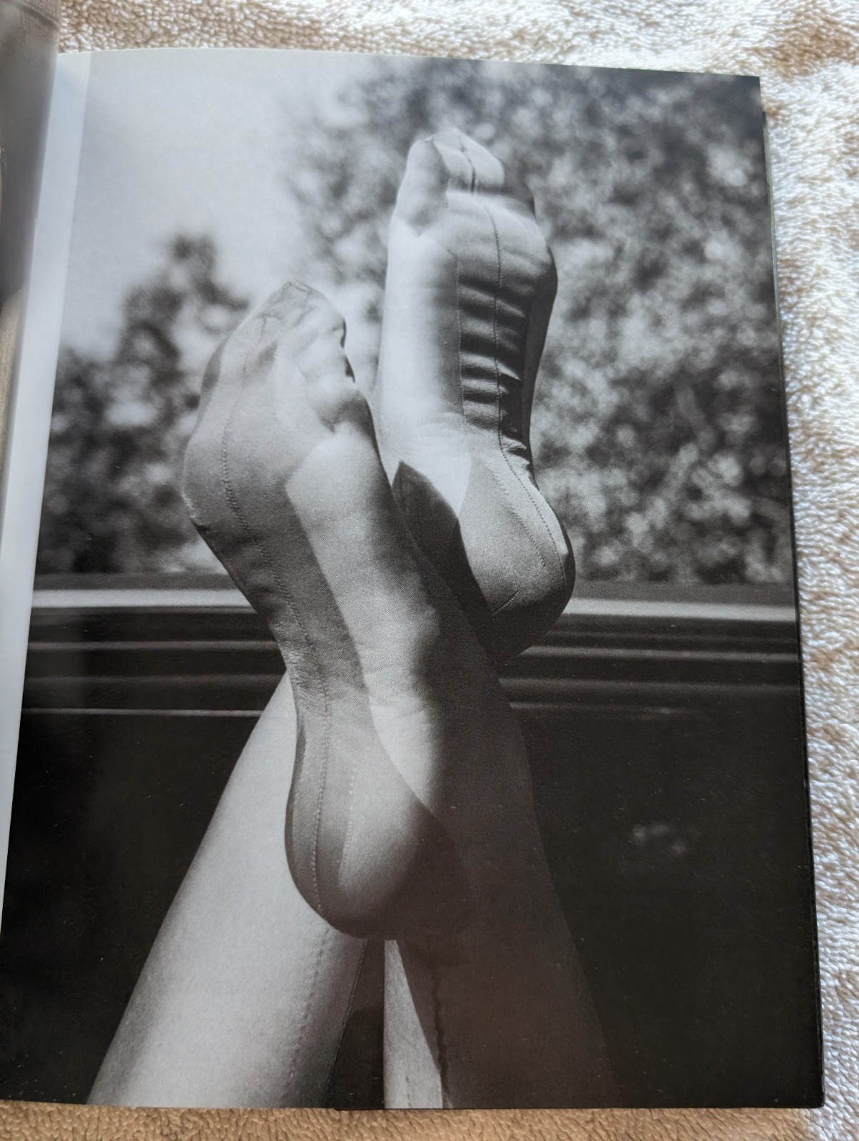 ELMER BATTERS: FROM THE TIP OF THE TOES TO THE TOP OF THE HOSE Taschen