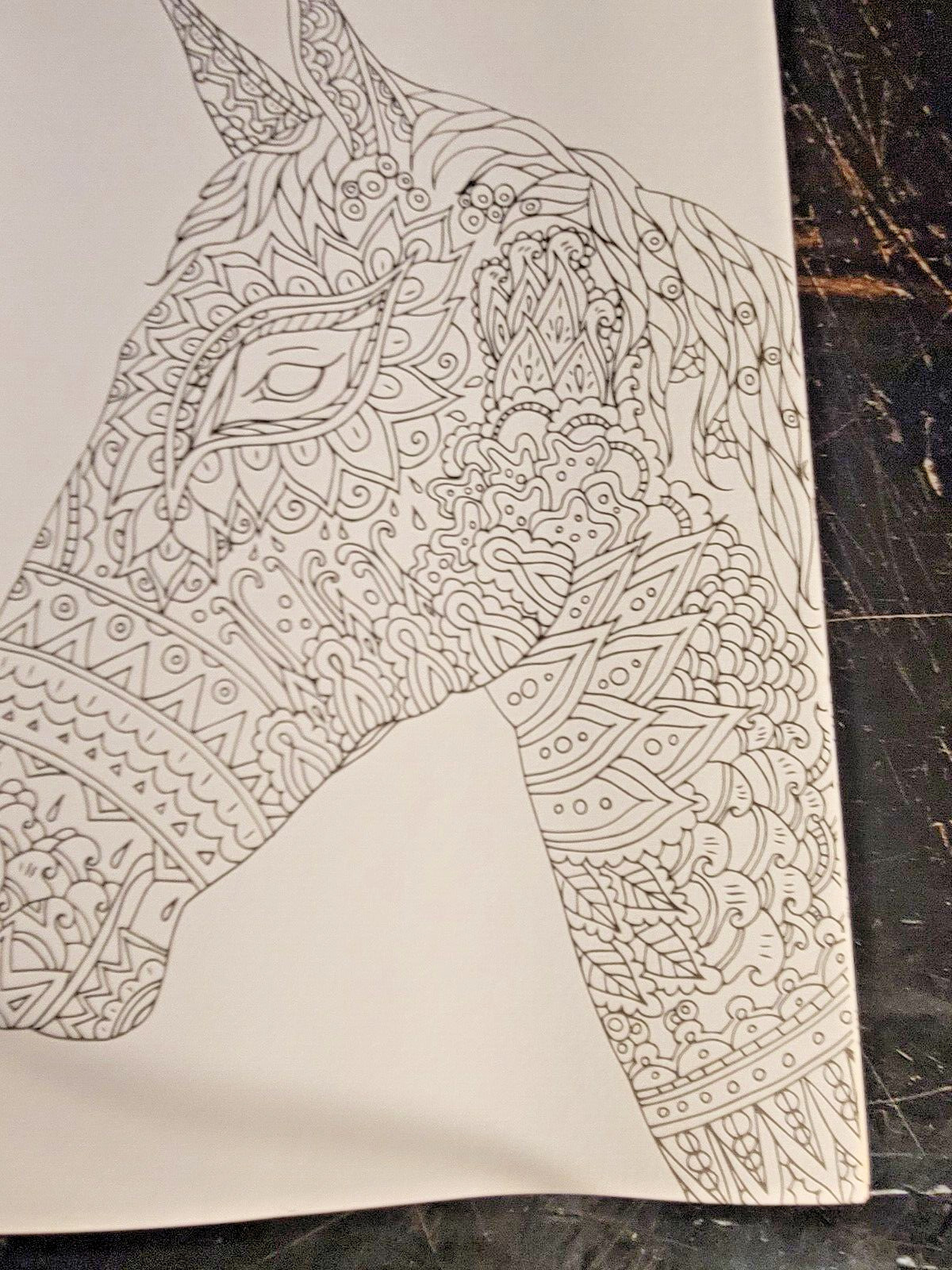 COLORS OF THE WILD! Vol. 16 Adult Coloring Book With 47 Prints Ready To Frame!