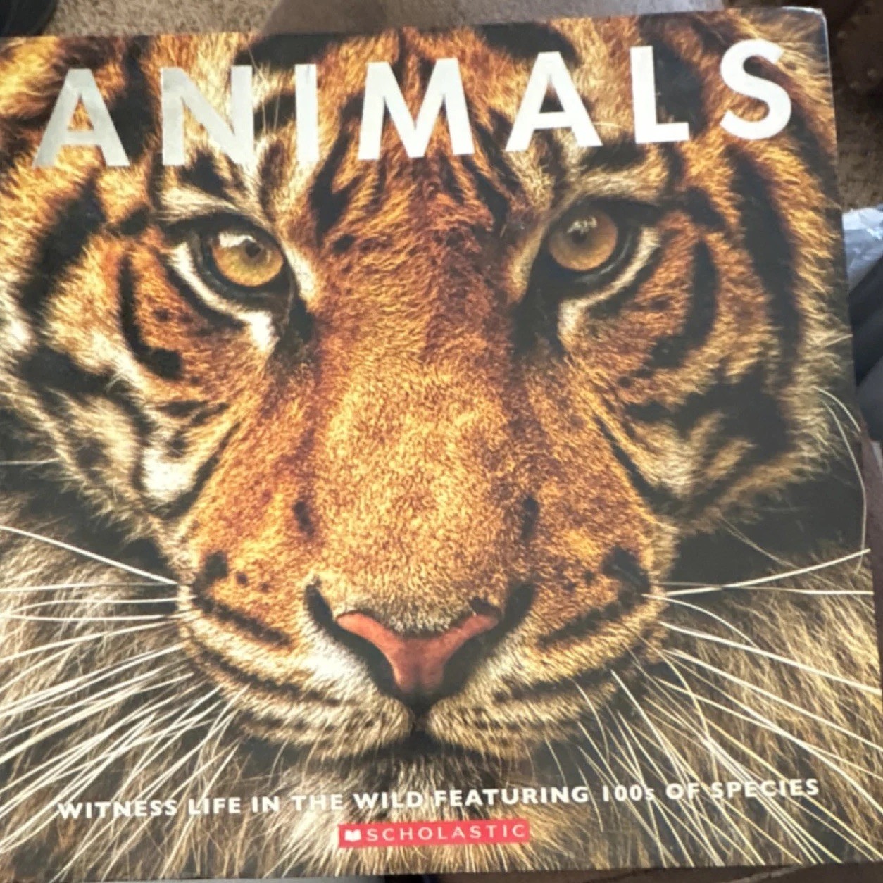 Scholastic Animals 100s of Species By Sean Callery and Miranda Smith