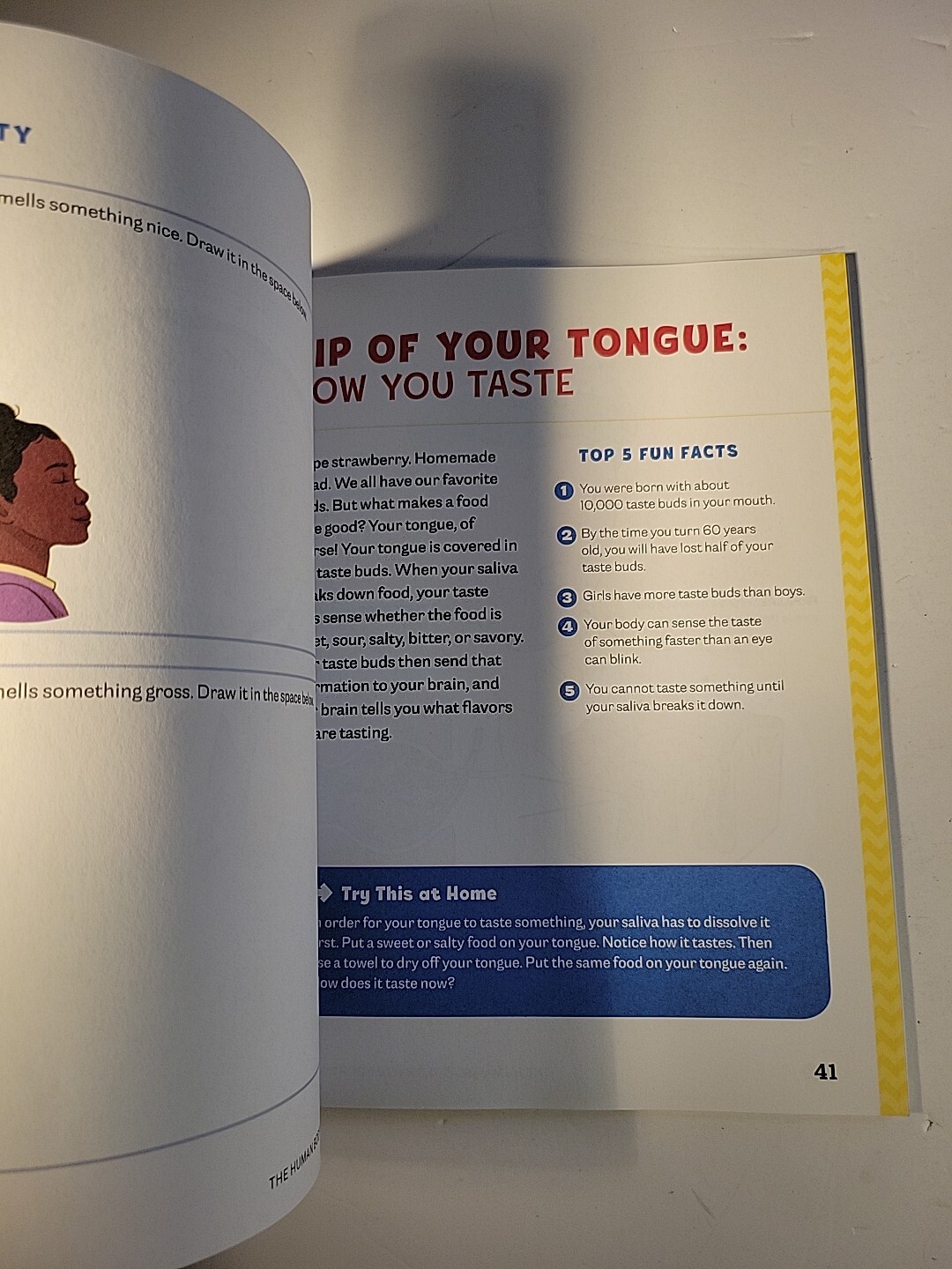 Human Body Activity Book for Kids : Hands-On Fun for Grades K-3 by Katie Stokes