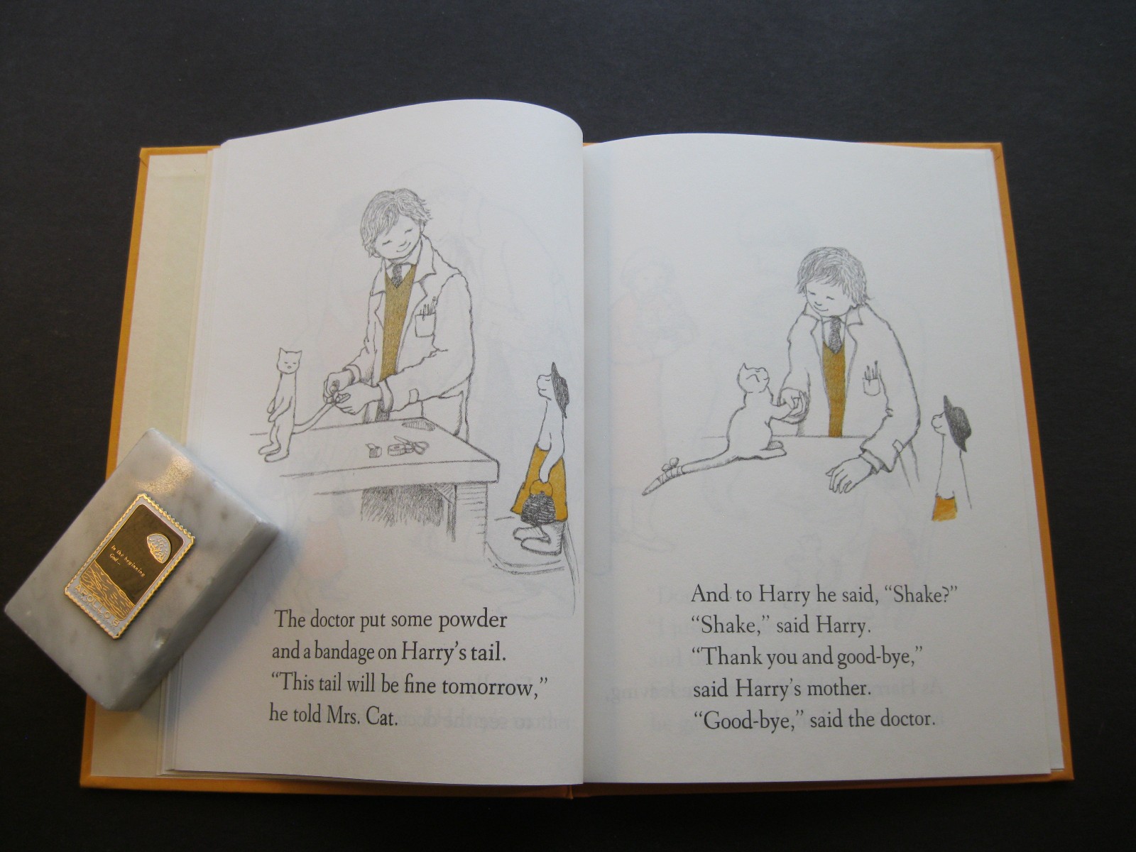 COME TO THE DOCTOR, HARRY Mary Chalmers 1981 hb cat tail hurt 7×9 VG