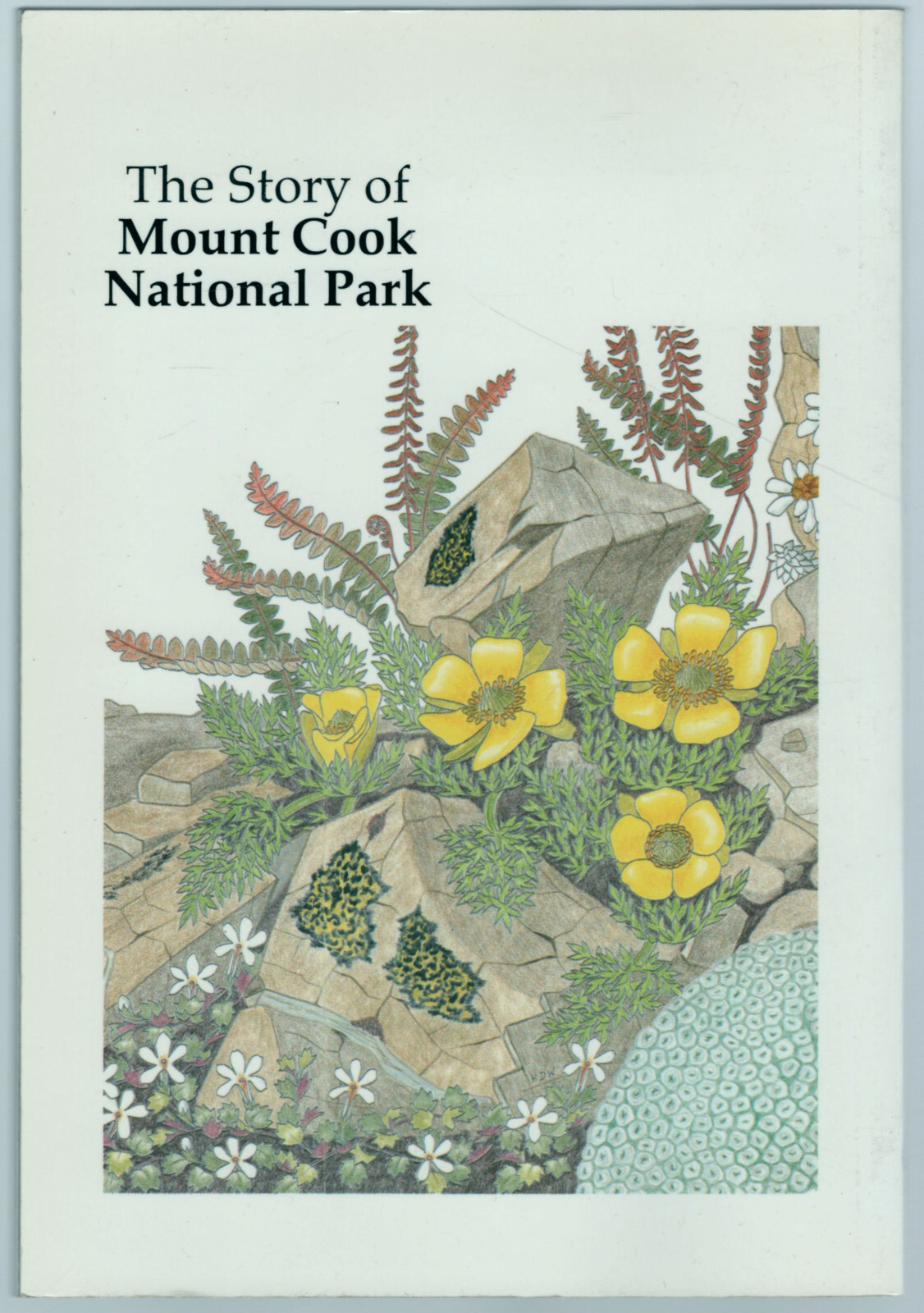 The Story of Mount Cook National Park by Andy Dennis