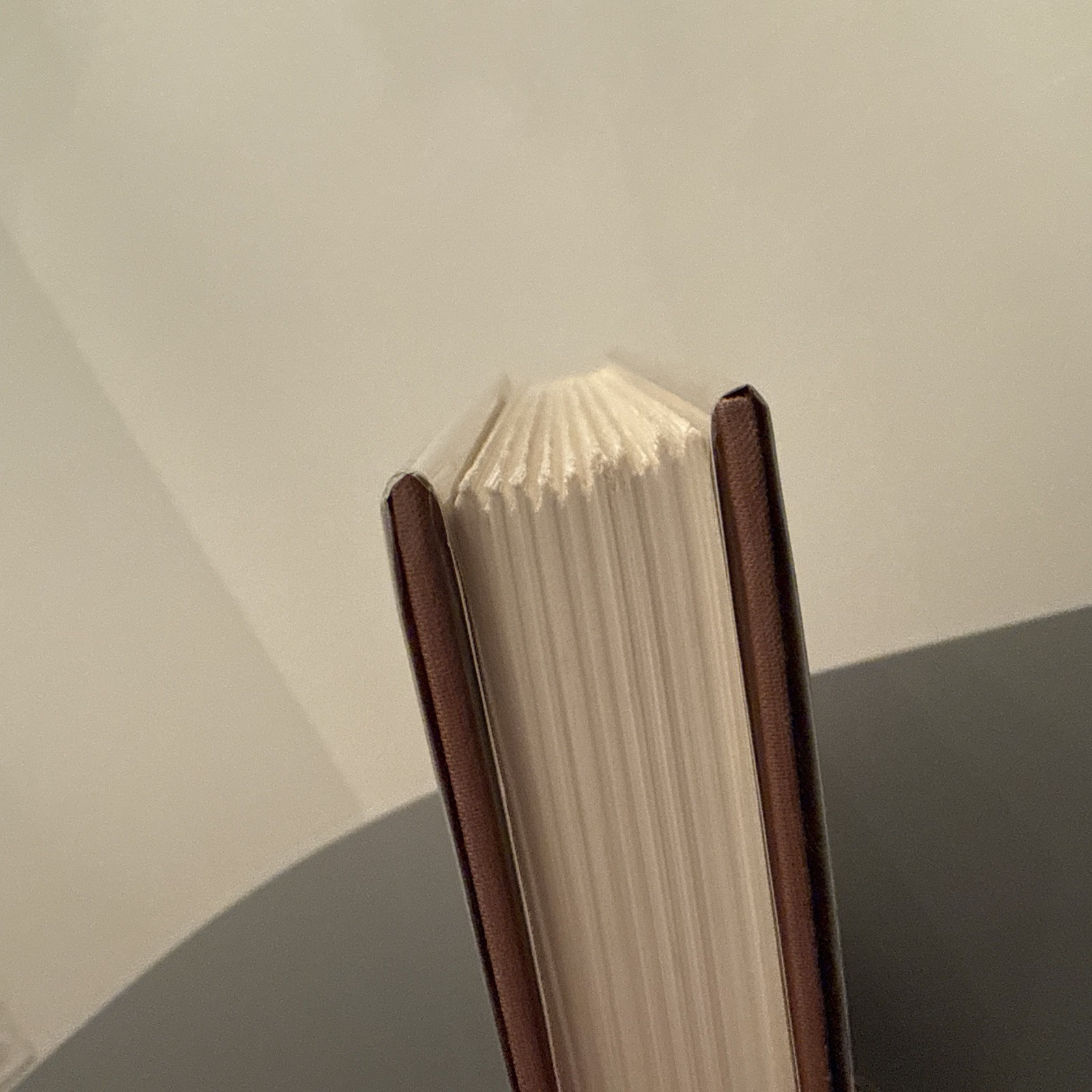 The General in His Labyrinth by Gabriel García Márquez (1990, Hardcover W/ DJ)