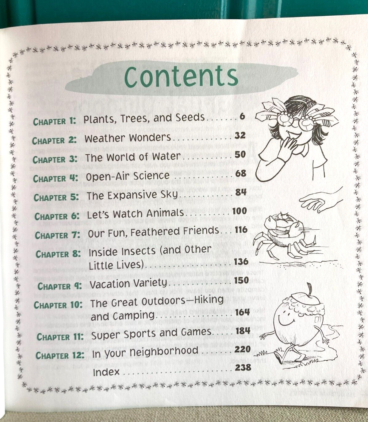 365 Outdoor Activities by Maria Birmingham, Karen E. Bledsoe, Kelly Milner Halls