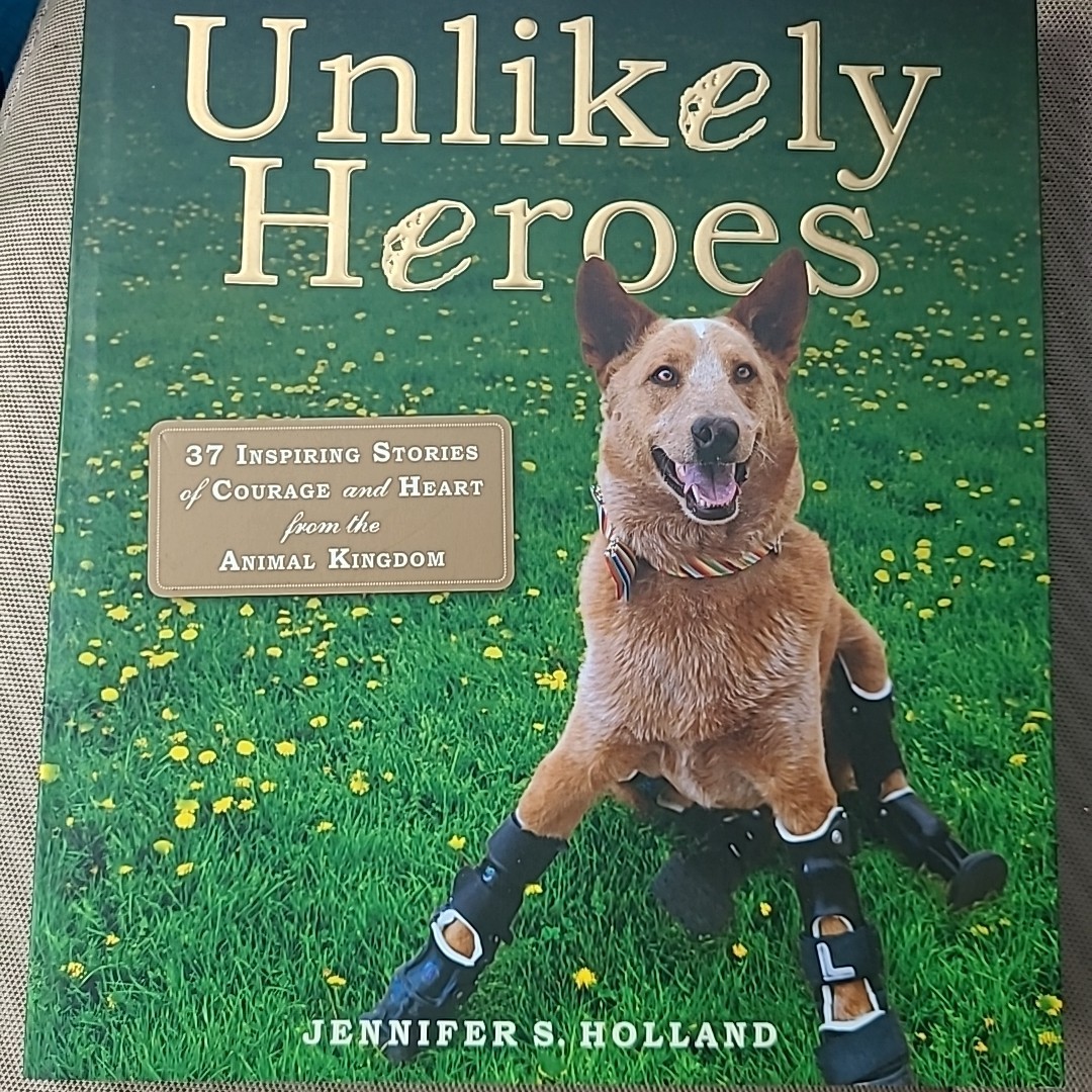 Unlikely Heroes by Jennifer S. Holland (2014 Trade Paperback) Coffee Table Book
