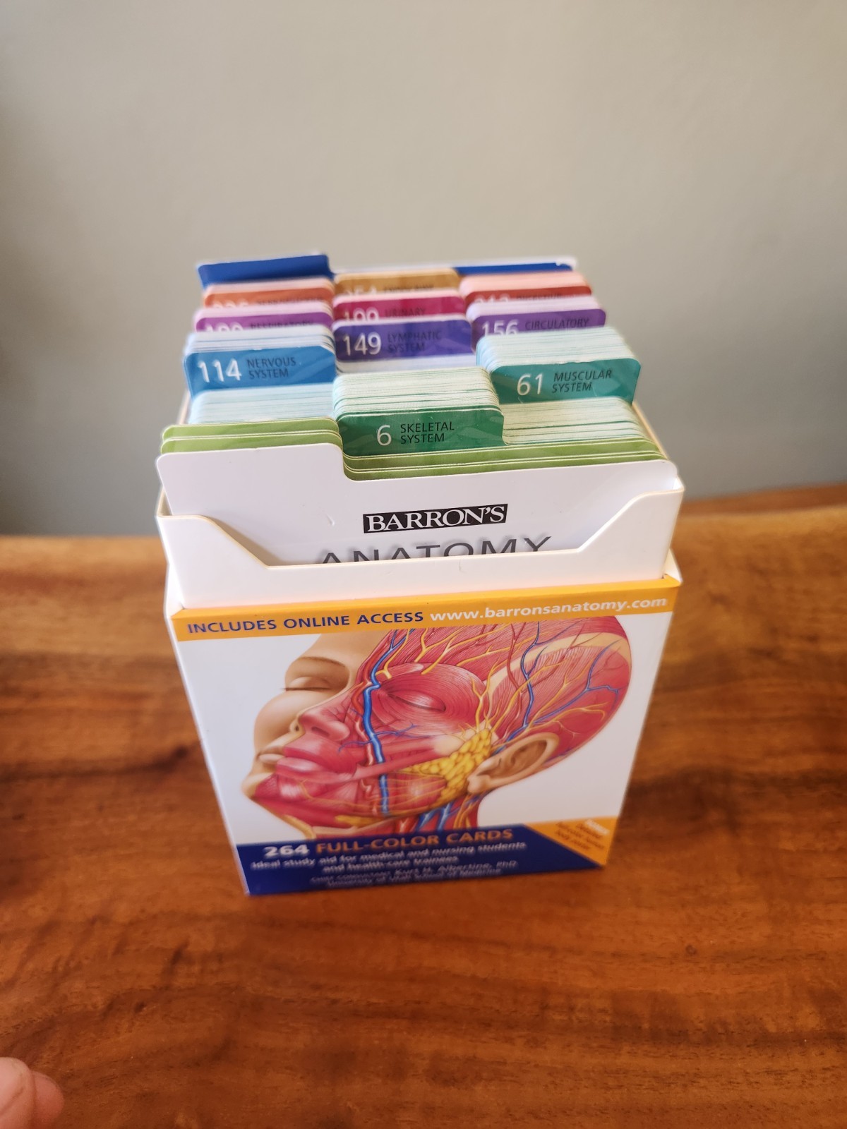 Barron’s Anatomy Flash Cards by Kurt Albertine (2008, Cards,Flash Cards)