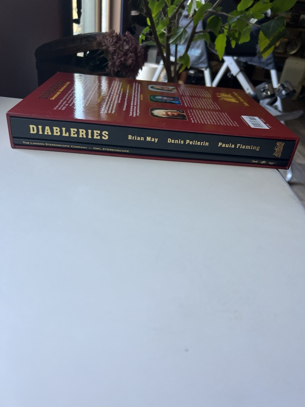 Diableries Stereoscopic Adventures in Hell Brian May Denis Pellerin Fleming HC