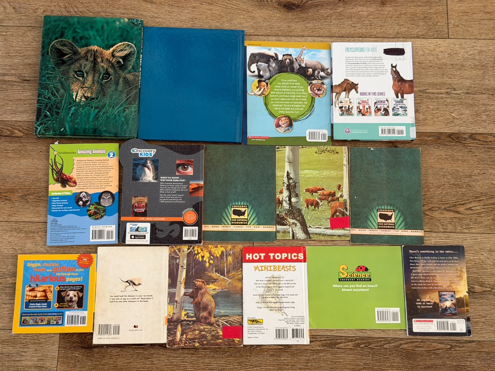Lot of 15 Children’s Animal animals Picture Books Homeschool Sharks, Reptiles…