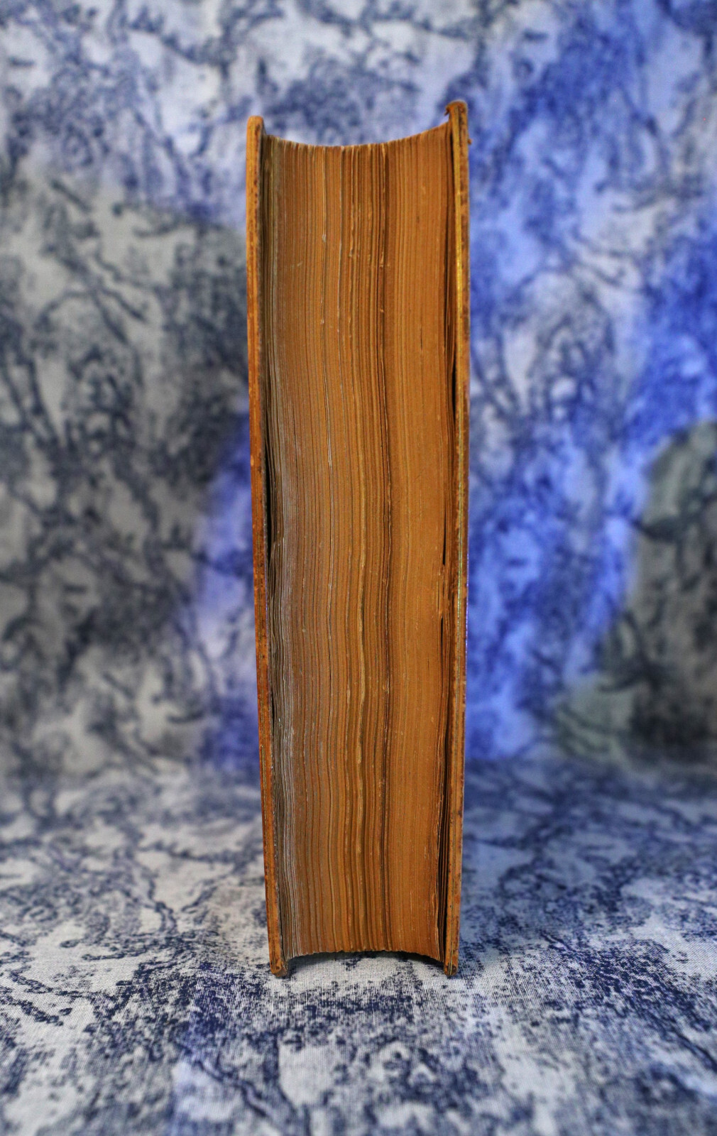 [Sh12] Fine Binding Zaehnsdorf, 1848, Adventures of Oliver Goldsmith, J Forster