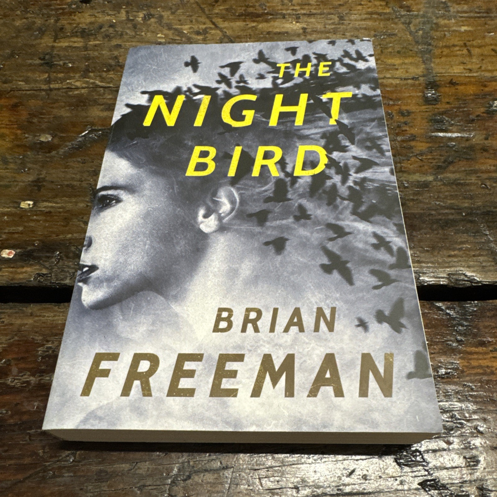 Night Bird by Brian Freeman (2017, Trade Paperback) 1st Edition