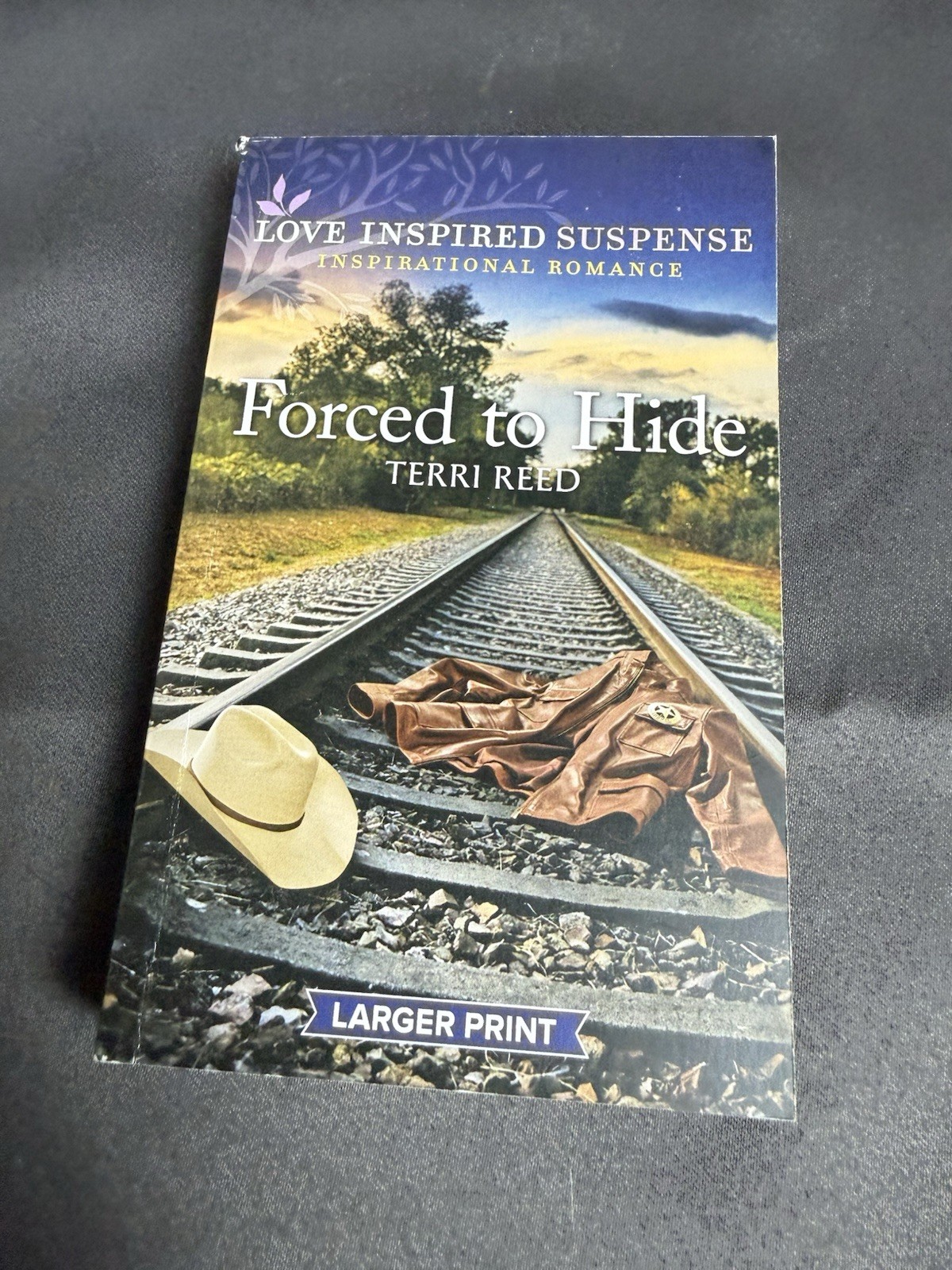 Love Inspired Suspense: Forced To Hide By Terri Reed~2023~Larger Print~Paperback