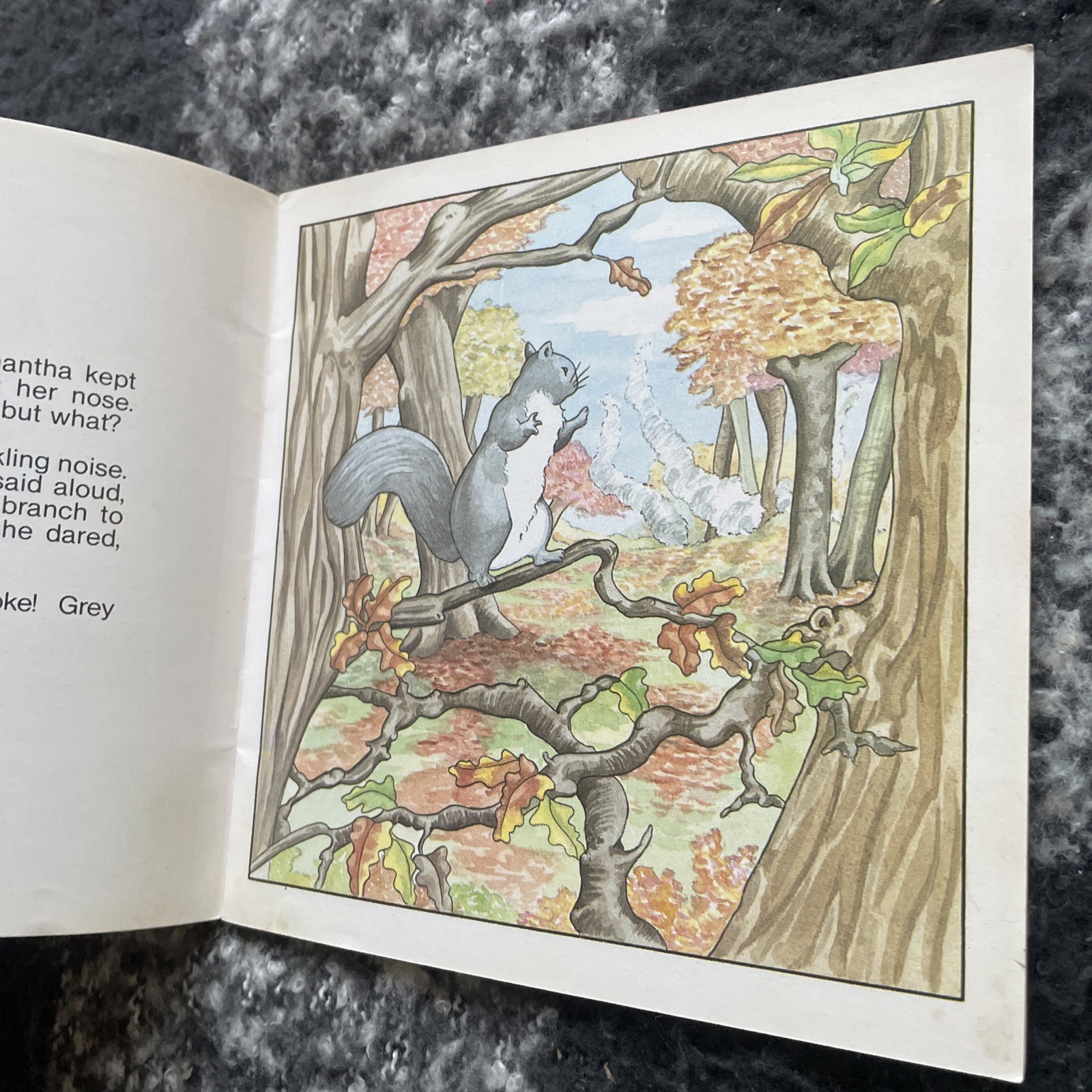 MURIEL MILLER. THE WOODLANDERS. PANIC IN THE WOODLAND. 17 BY 17 CM. 0906791472