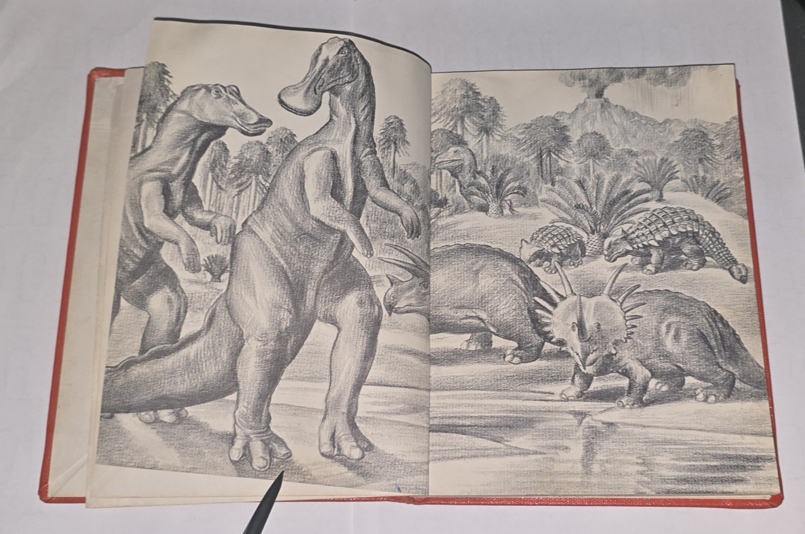 DINOSAURS True First Edition 1954 by Herbert S Zim Hardcover RARE School Library
