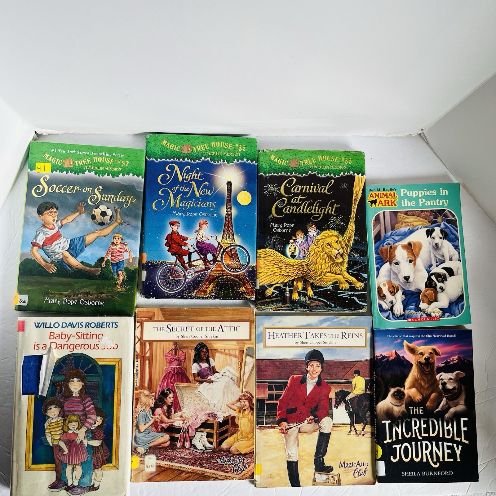 Lot of 10 Random 4th grade Children’s Kids Chapter Book Some series Elementary