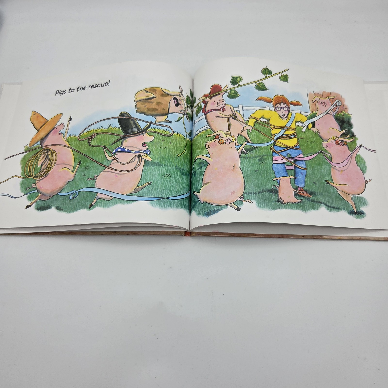 Pigs to the Rescue: A Picture Book by John Himmelman – Kid’s Stories Ships Fast