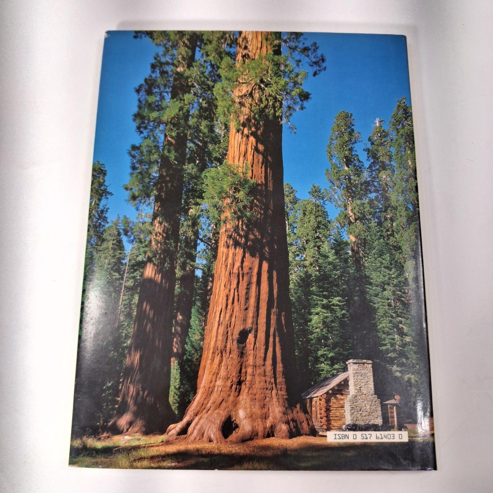 Yosemite: A Picture Book To Remember Her By Crescent Books HC DJ Photography