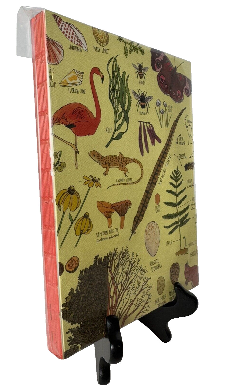 Julia Rothman 2019 Illustrated Nature Journal Notebook Hardcover – New