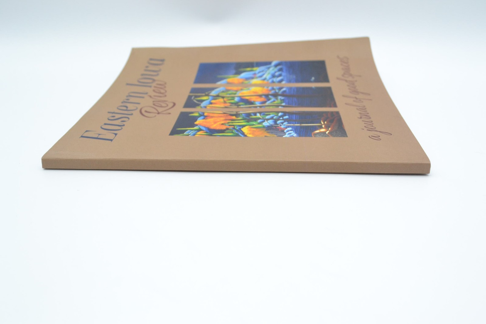 Eastern Iowa Review Issue 4, A Journal of Good Spaces, 2017, Short Fiction Debut