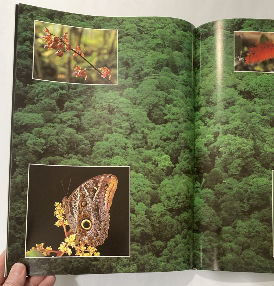 Tropical Rainforests of the World Rupert Matthews Nature Wildlife Photography