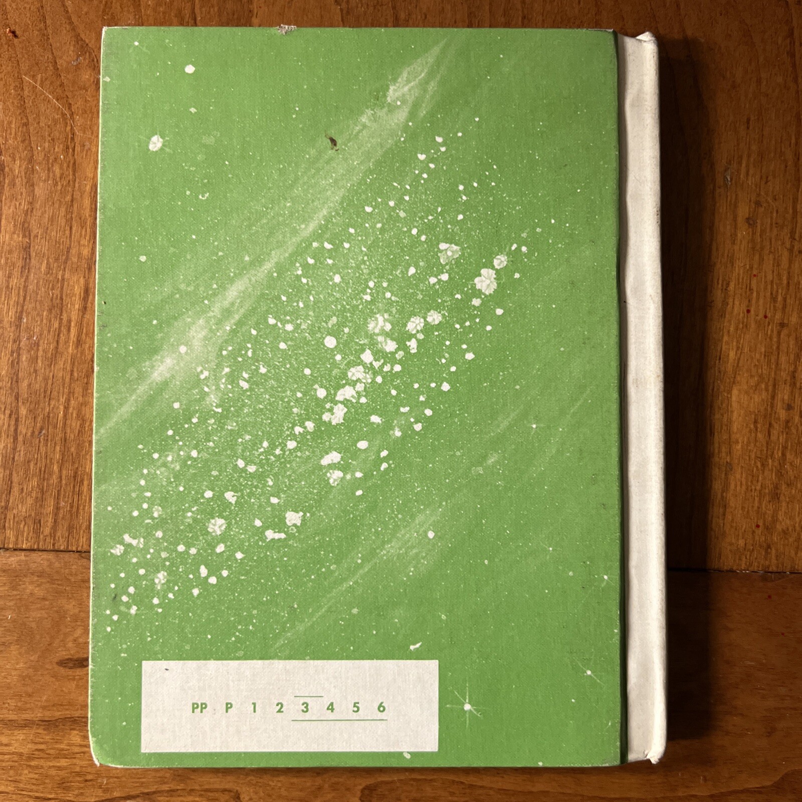 VINTAGE – Peter and the Two Hour Moon book from Collinswood School