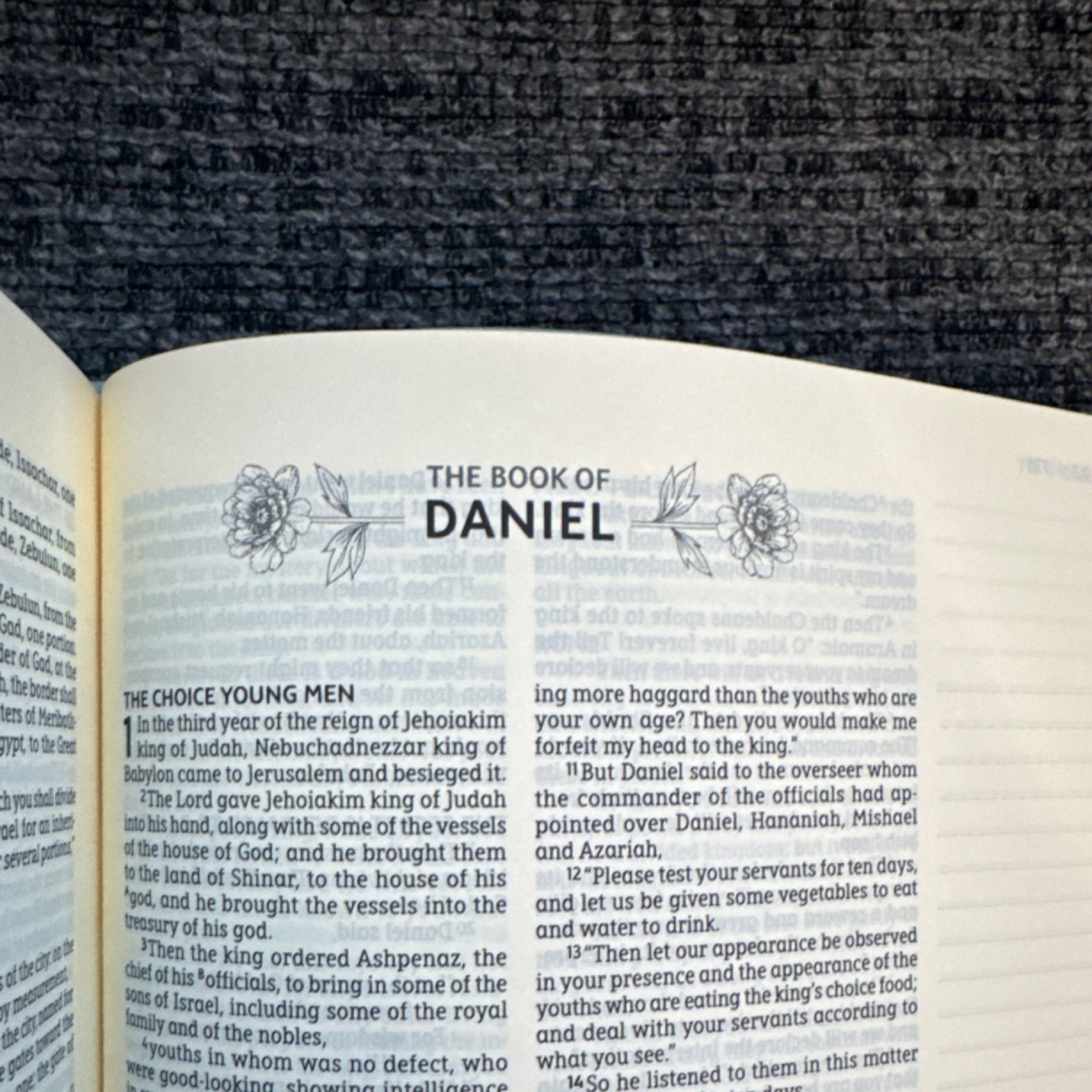 NIB – NASB Artisan Floral Bible Sage