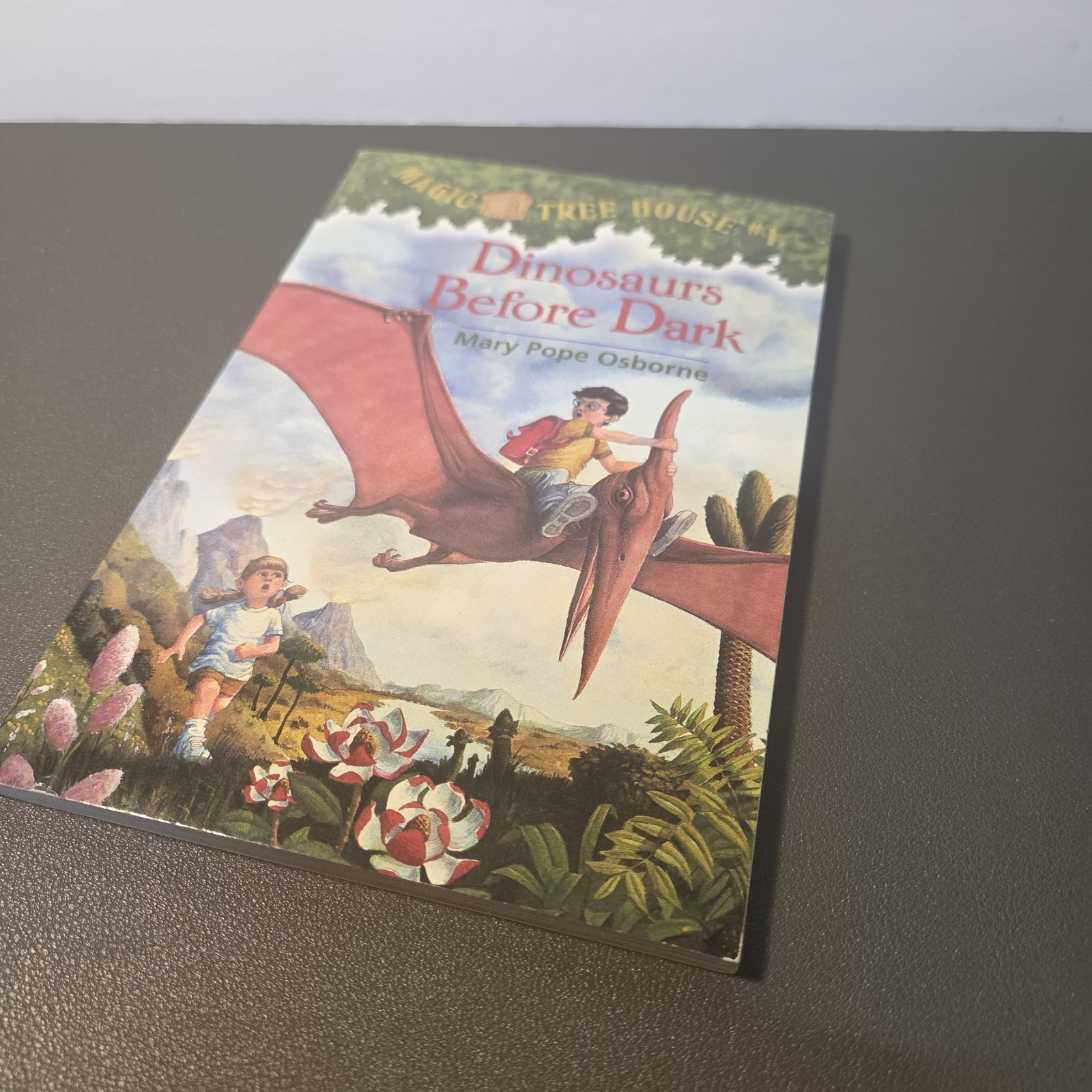 Magic Tree House #1 Dinosaurs Before Dark Paperback Book Mary Pope Osborne