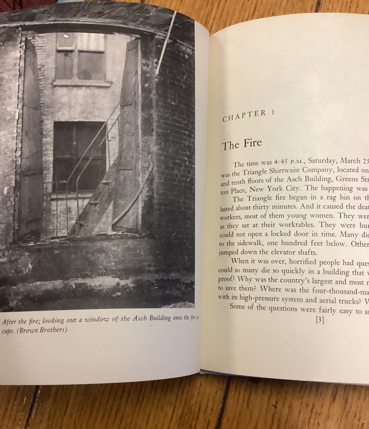 The Triangle Shirtwaist Fire 1911 Hardcover 1971 1st Edition RARE BOOK Sweatshop