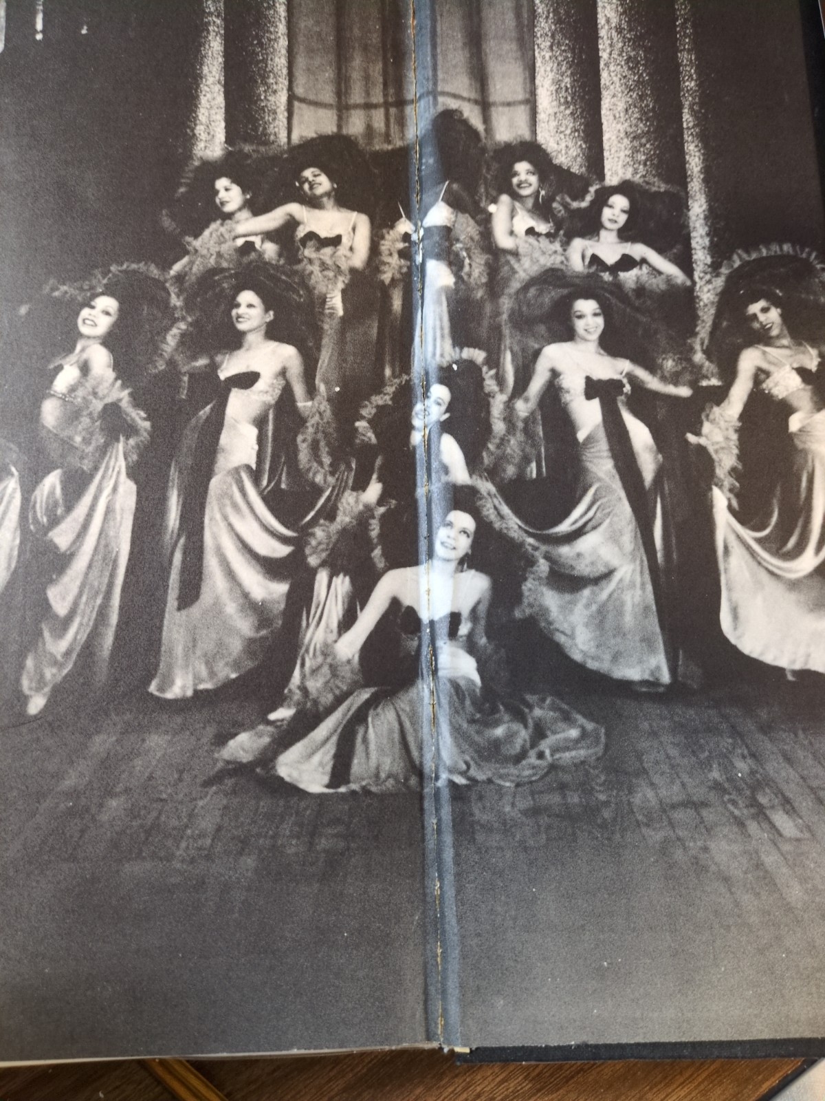 The Cotton Club by Jim Haskins 1977 First Edition Very Good