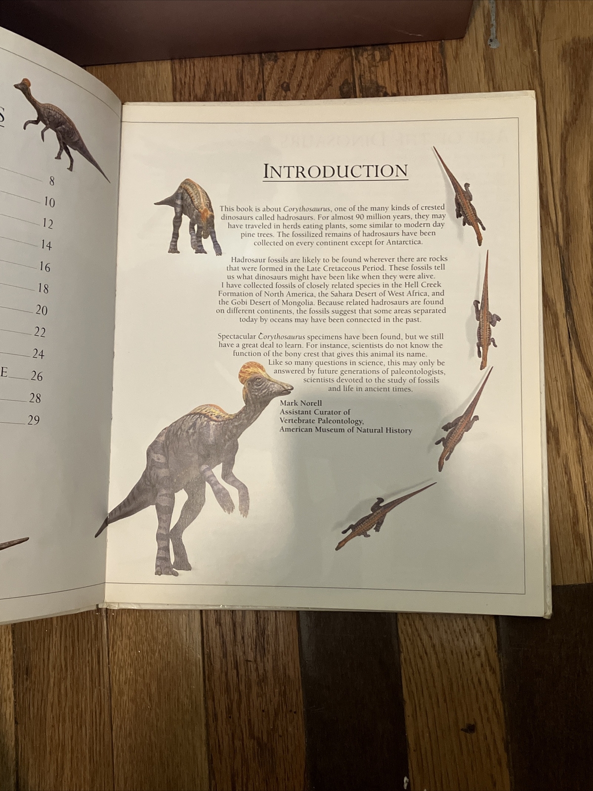 Corythosaurus by William Lindsay 1993 1st Ed. DK Publishers Hardcover