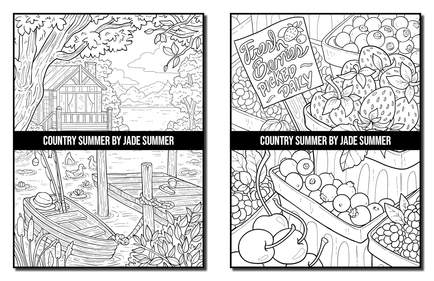 Country Summer: An Adult Coloring Book with 50 Detailed Images of Charming Count