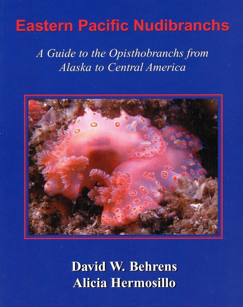EASTERN PACIFIC NUDIBRANCHS, by David Behrens