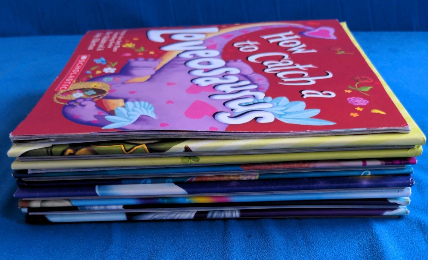 Adam Wallace How To Catch Preschool Kindergarten 1st Grade Picture Book Lot of 7