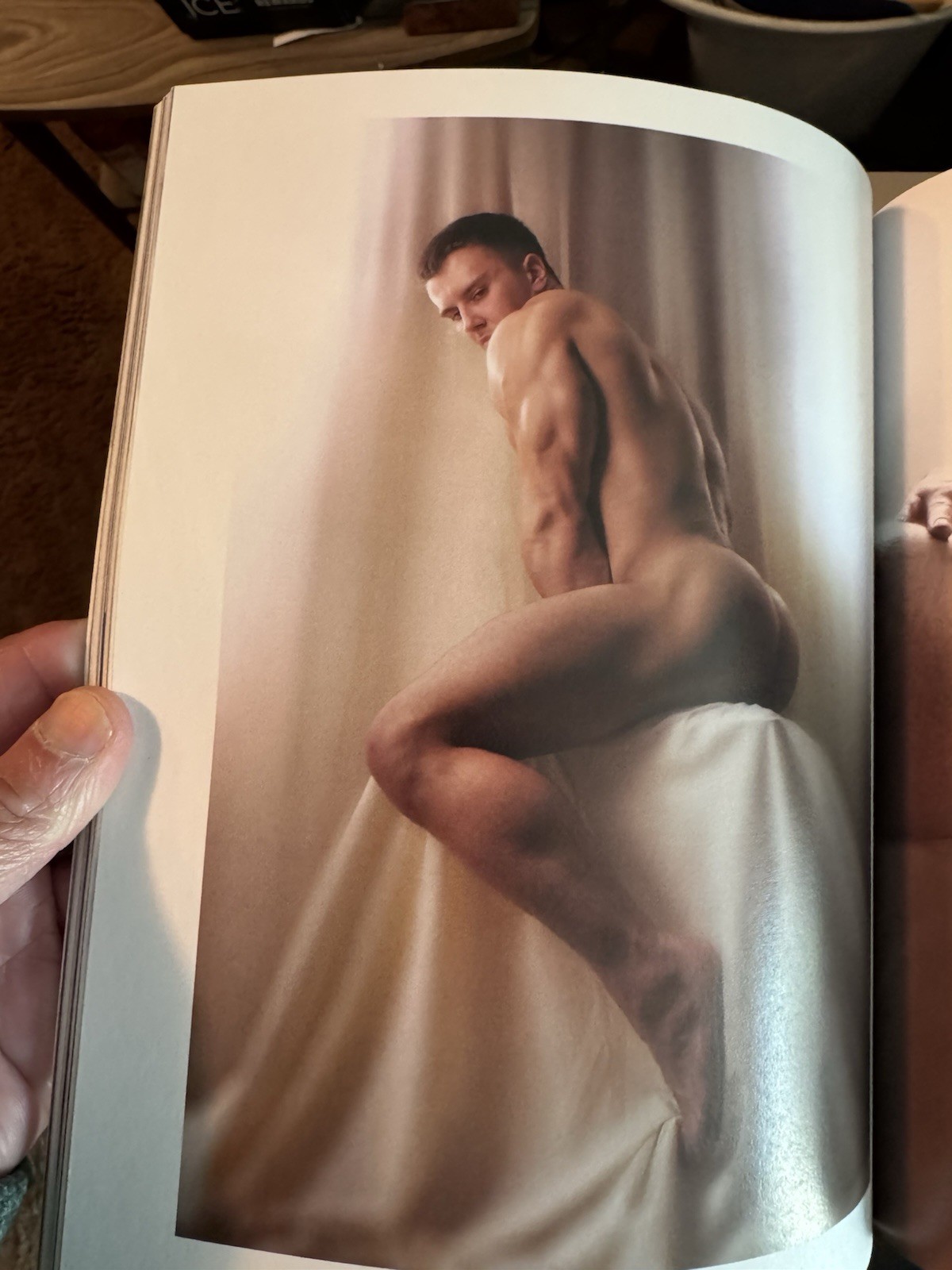 FRAGILE AND DEATHLESS by Nick Mesh Trade Paperback Book Gay Interest Male Nudity