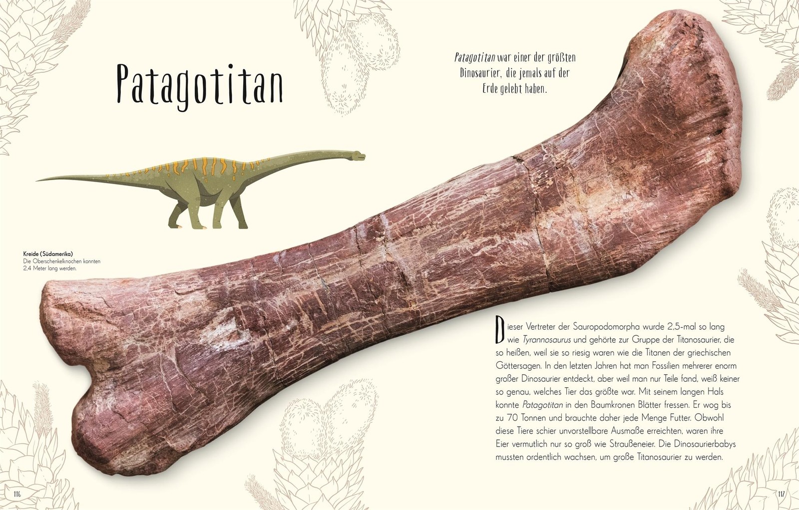 Anusuya Chinsamy-Turan / Wundervolle Welt der Dinosaurier und …9783831045037