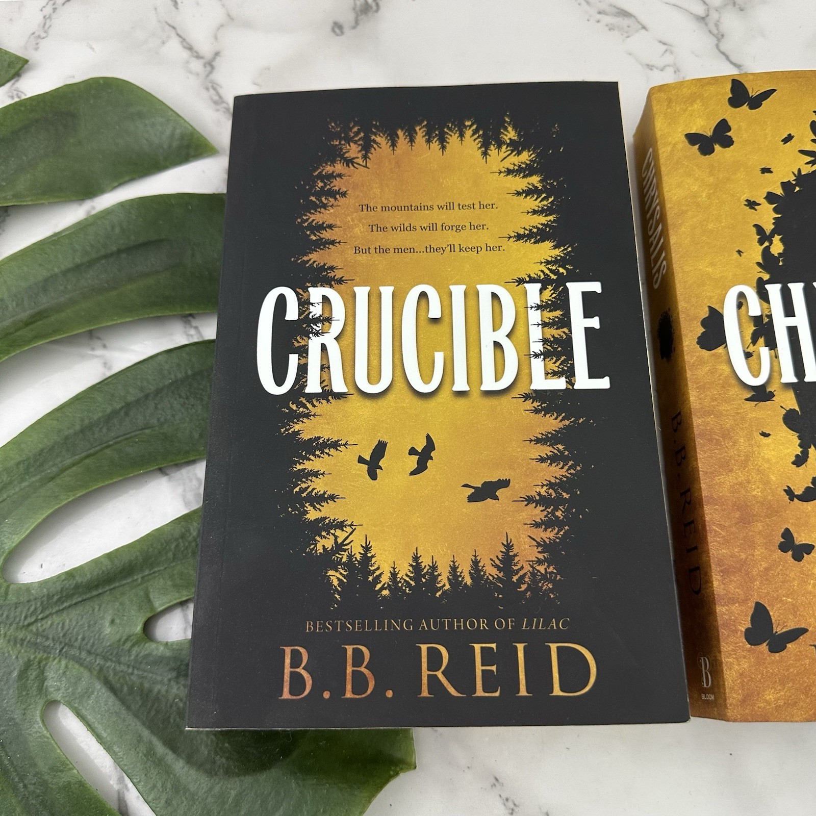 Men of the Wilds Series BB Reid Crucible Chrysalis Sprayed Edge Paperback Books