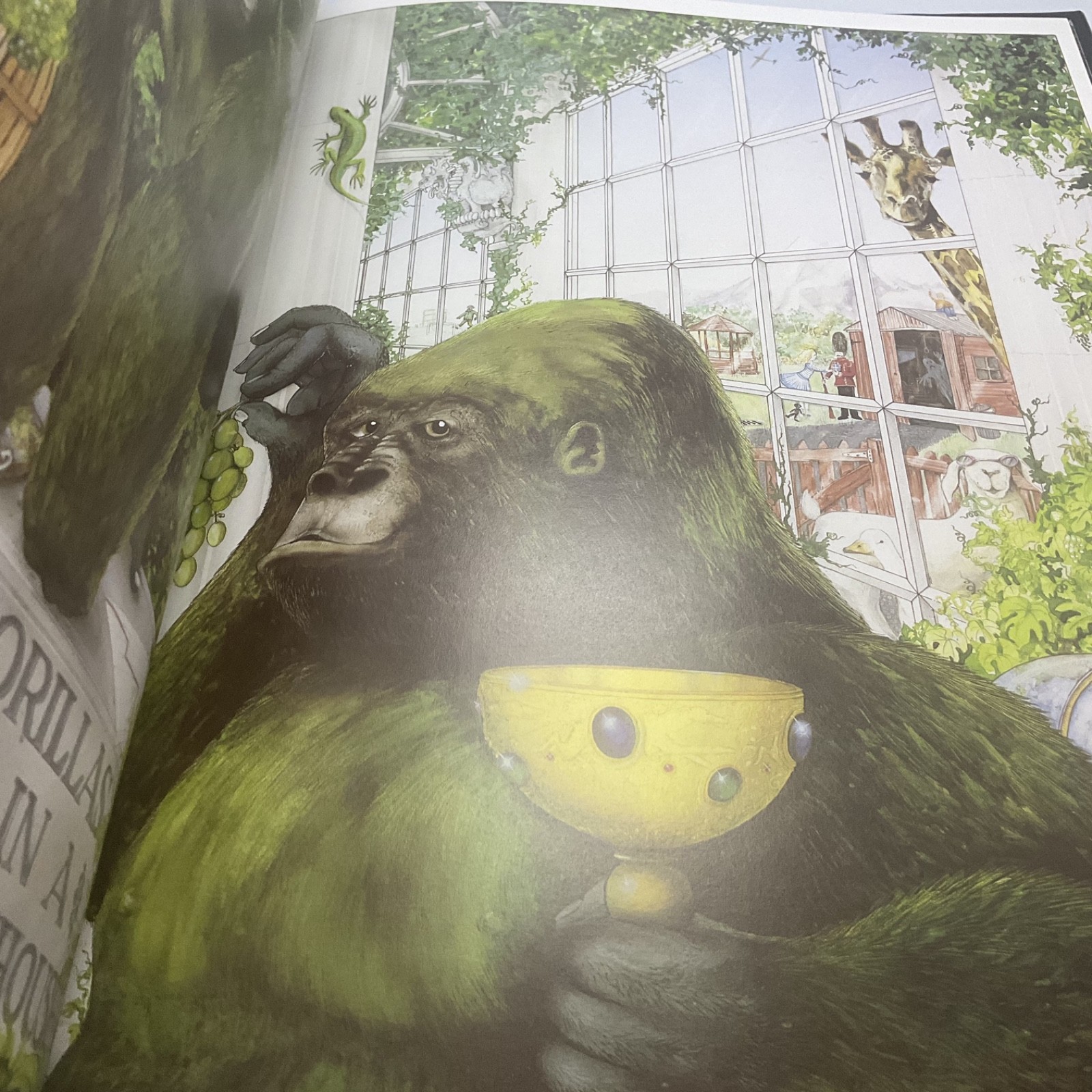 Graeme Base Animalia HC Illustrated Picture Book, Fast Ship!!!.