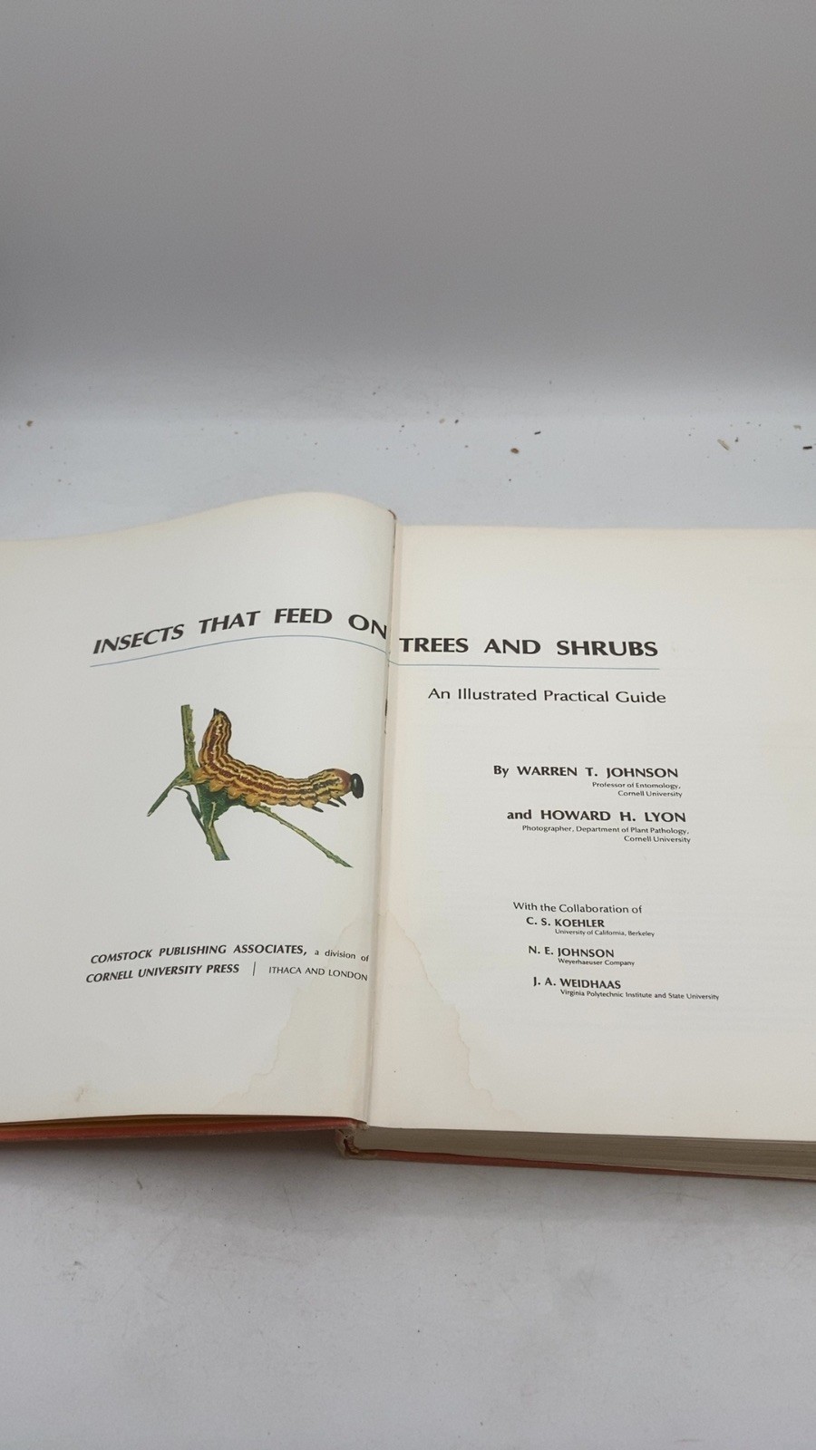 Insects That Feed on Trees and Shrubs Warren T. Johnson and Howard H. Lyon Ha…