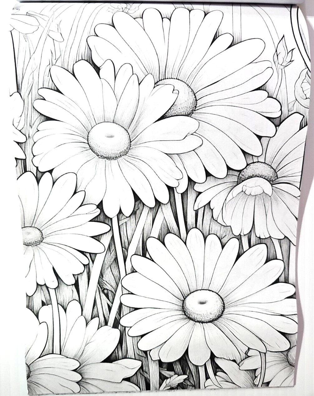 Coloring Book of Flowers 6.75″x10″ w/ 20 Pages of Single-Sided Images