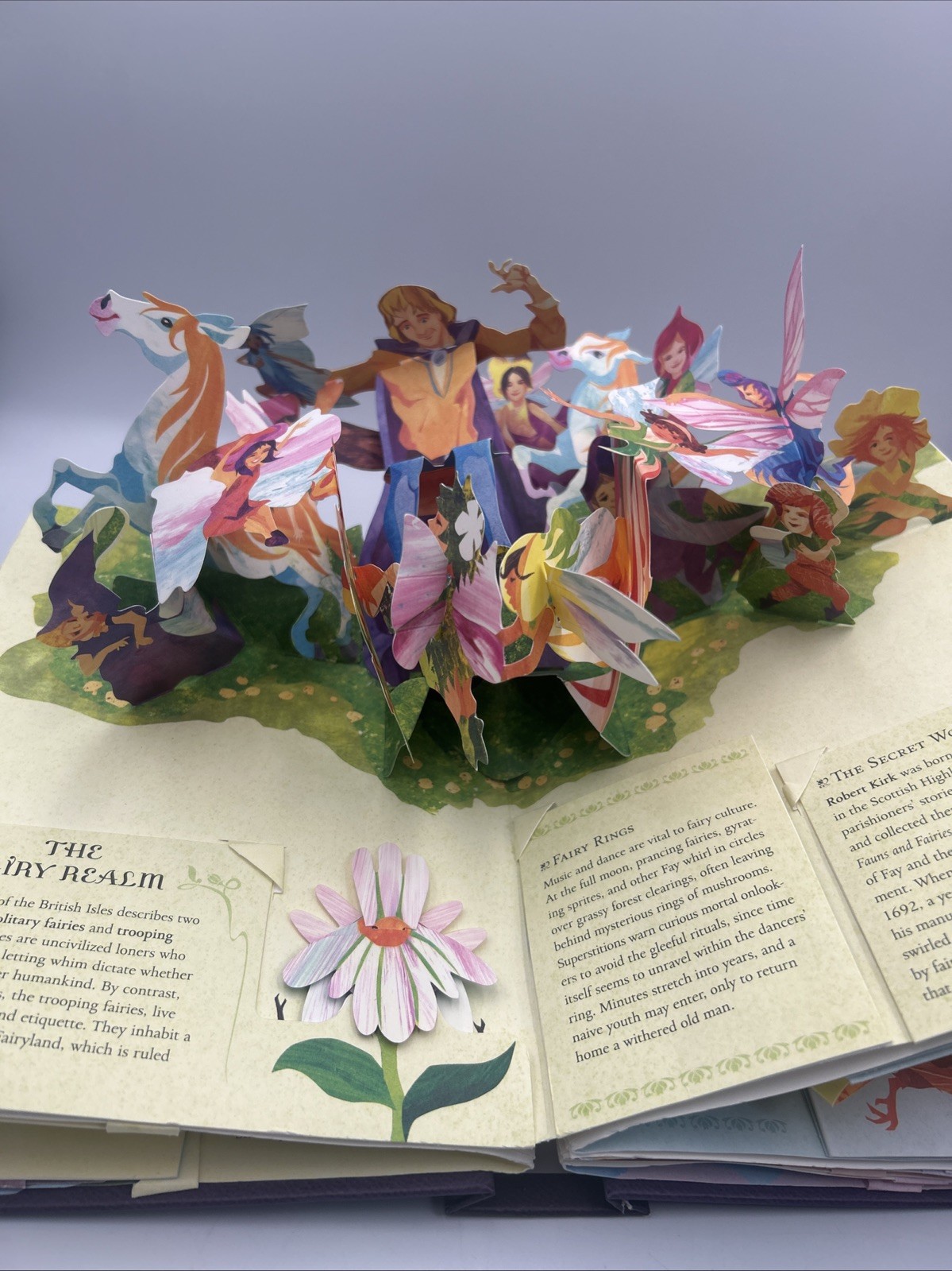 Fairies and Magical Creatures by Reinhart & Sabuda, Hardcover, Pop-Up, 2008