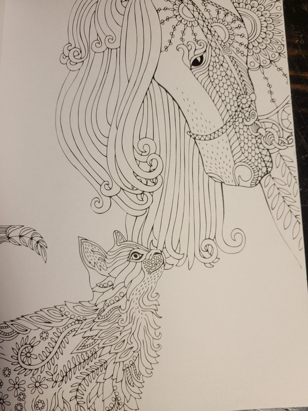 COLORING ANIMAL FRIENDS Vol 2 Adult Coloring Book With 47 Prints Ready To Frame