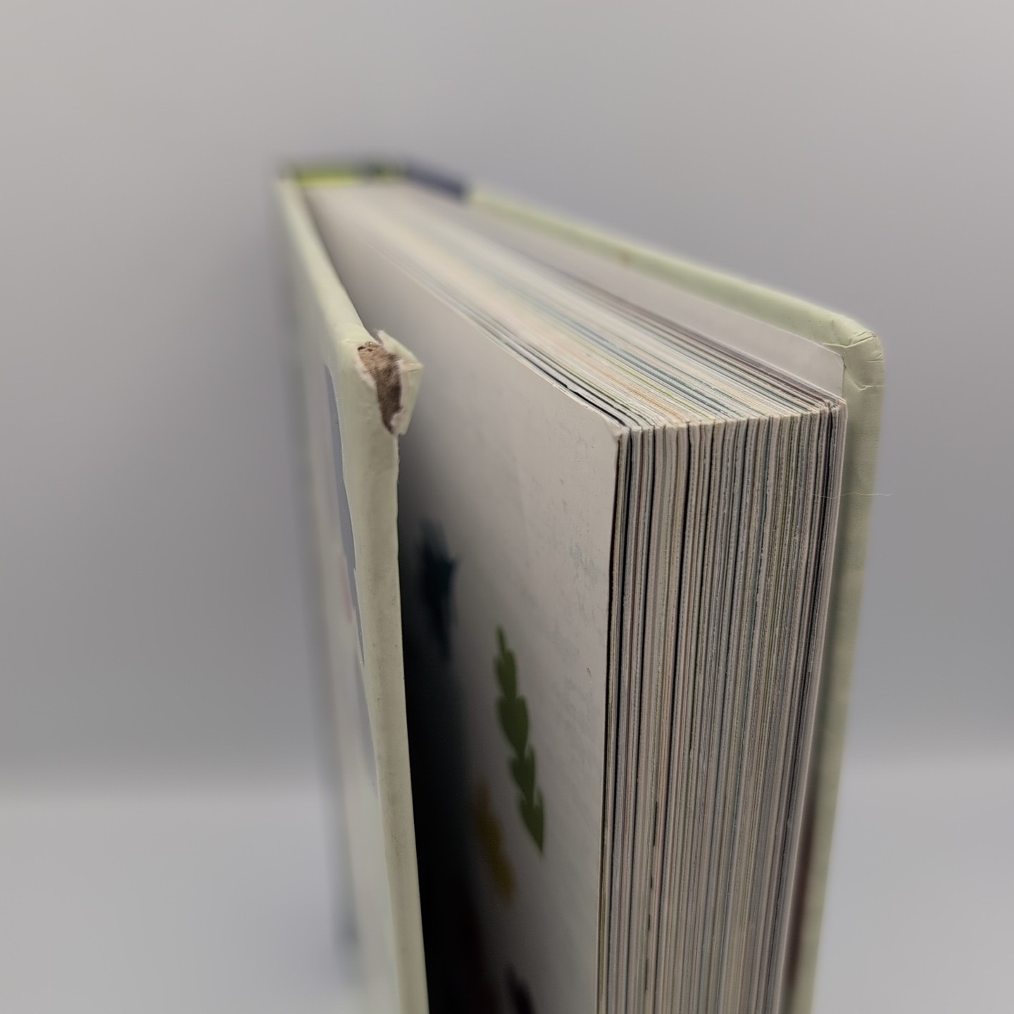 I Am the Seed That Grew the Tree, Hardcover Nature Poem Frann Preston-Gannon