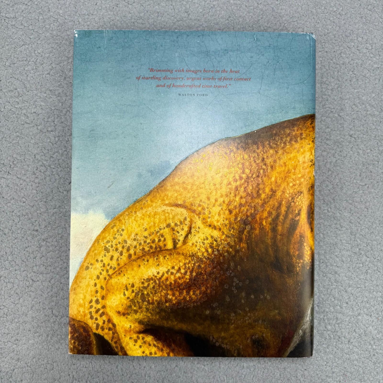 Paleoart Visions Of The Prehistoric Past By Zoe Lescaze 2017 Hardcover Book