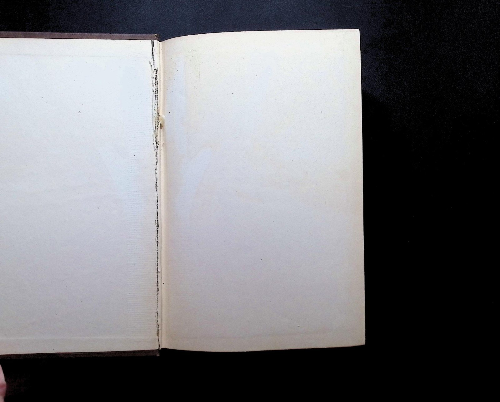 Rienzi The Last of the Roman Tribunes Edward Bulwer-Lytton 1904 Scribner HC