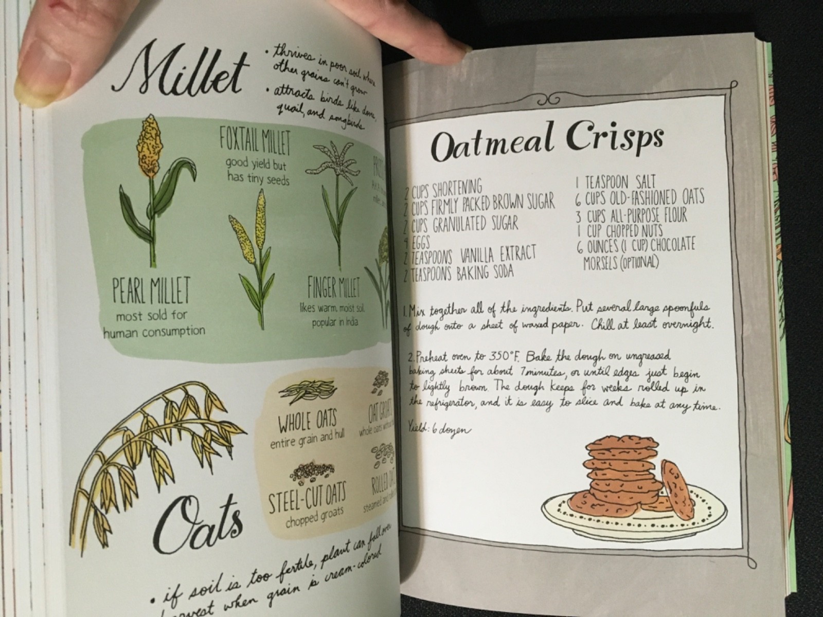 Lot 2 FARM ANATOMY Curious Parts of Country Life Julia Rothman + BACK TO BASICS