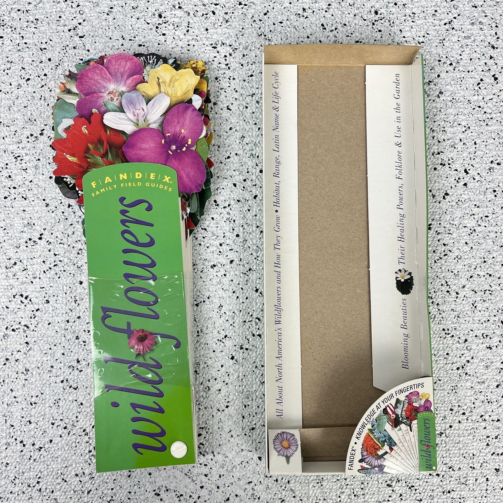 FANDEX Family Field Guide Wildflowers Full Color Die Cut Cards Homeschool