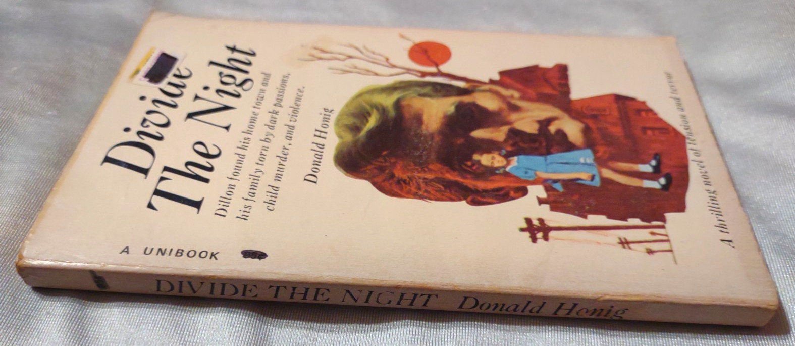 DIVIDE THE NIGHT by DONALD HONIG=GOTHIC / HORROR / DARK PASSIONS/TERROR/VIOLENCE