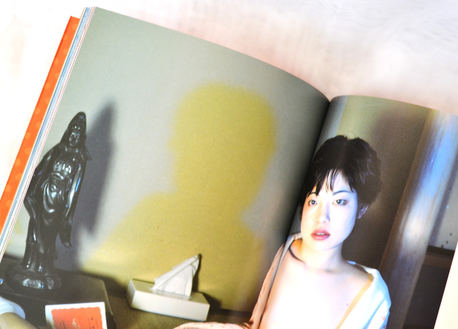 Nobuyoshi Araki Photo Book Novel-themed photos large book 29 x 21 cm 135P Rare