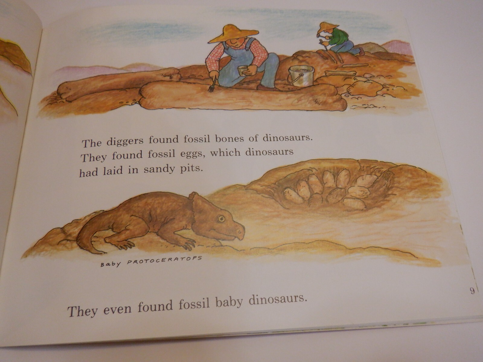 Vintage 1985 My Visit to the Dinosaurs & Dinosaurs are Different Book By Aliki